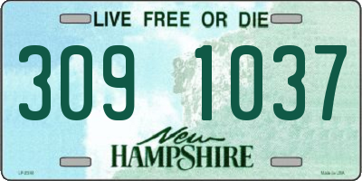 NH license plate 3091037