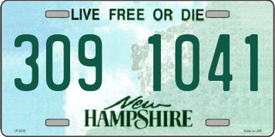 NH license plate 3091041