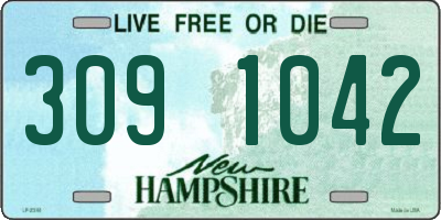 NH license plate 3091042