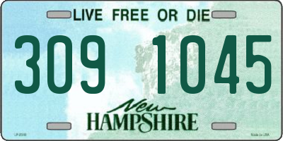 NH license plate 3091045