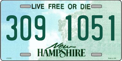 NH license plate 3091051