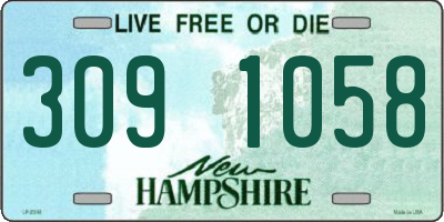 NH license plate 3091058