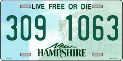 NH license plate 3091063