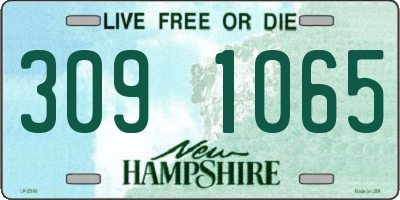 NH license plate 3091065