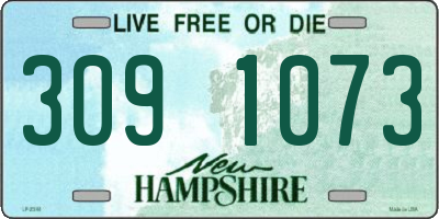 NH license plate 3091073