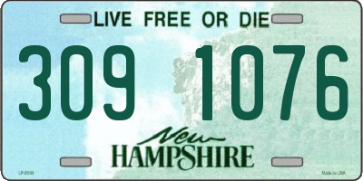 NH license plate 3091076