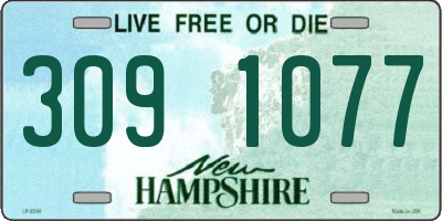 NH license plate 3091077