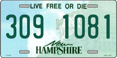 NH license plate 3091081