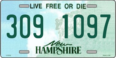 NH license plate 3091097