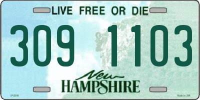 NH license plate 3091103