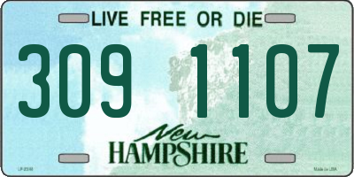 NH license plate 3091107