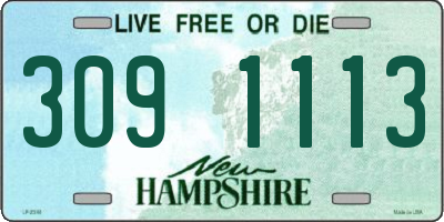 NH license plate 3091113