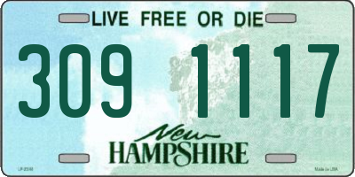 NH license plate 3091117