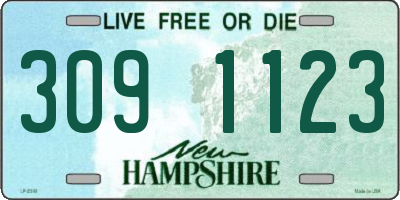 NH license plate 3091123