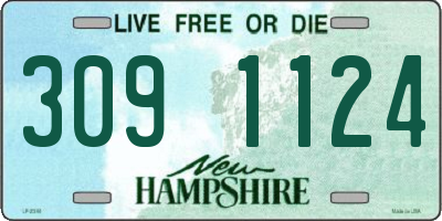 NH license plate 3091124