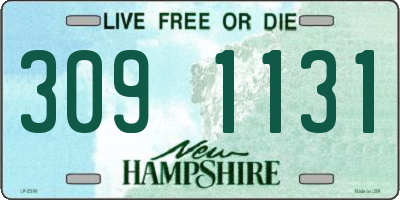 NH license plate 3091131
