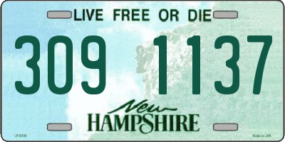 NH license plate 3091137