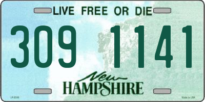 NH license plate 3091141