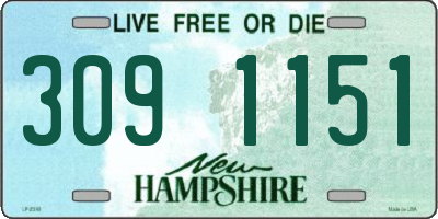 NH license plate 3091151