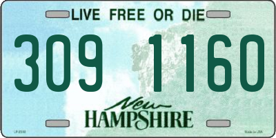 NH license plate 3091160