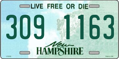 NH license plate 3091163