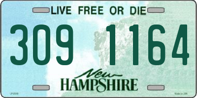 NH license plate 3091164