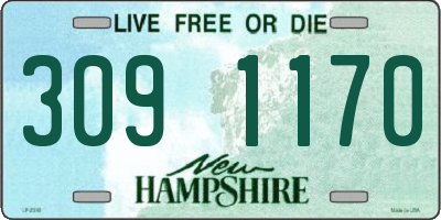 NH license plate 3091170