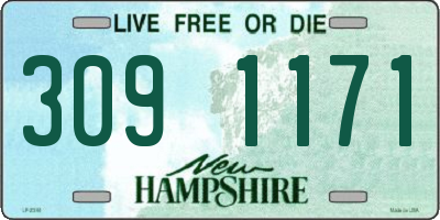 NH license plate 3091171