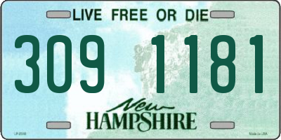 NH license plate 3091181