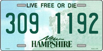 NH license plate 3091192