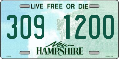 NH license plate 3091200
