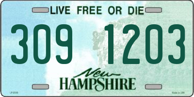 NH license plate 3091203
