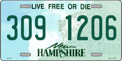NH license plate 3091206