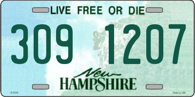 NH license plate 3091207