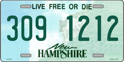 NH license plate 3091212