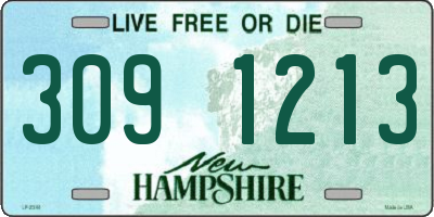 NH license plate 3091213