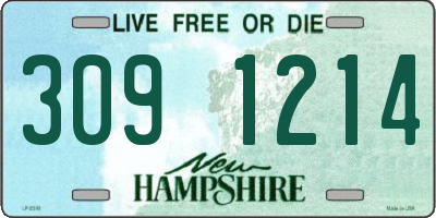 NH license plate 3091214
