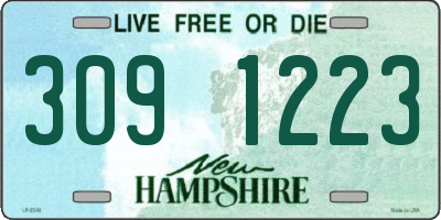 NH license plate 3091223