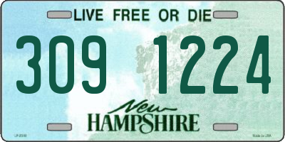 NH license plate 3091224