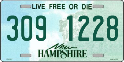 NH license plate 3091228