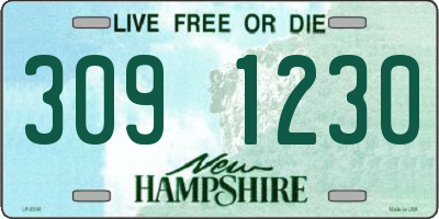 NH license plate 3091230