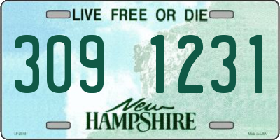NH license plate 3091231