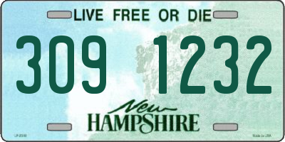 NH license plate 3091232