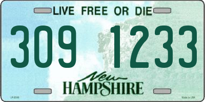NH license plate 3091233
