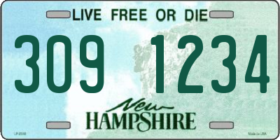 NH license plate 3091234
