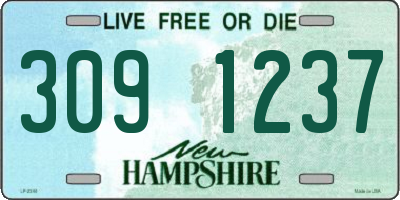 NH license plate 3091237