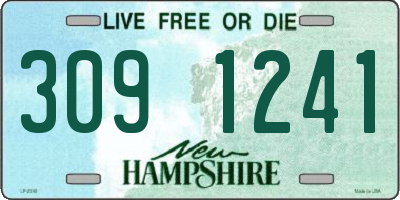 NH license plate 3091241
