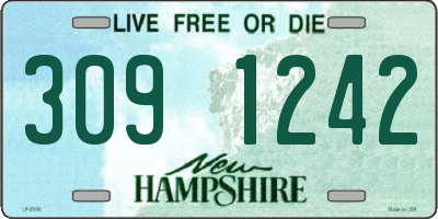 NH license plate 3091242
