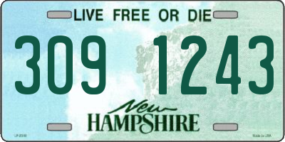 NH license plate 3091243