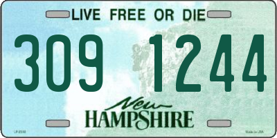 NH license plate 3091244